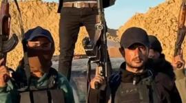 ياسر أبو شباب