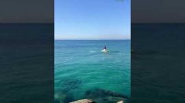 مشاهد من بحر مدينة غزة