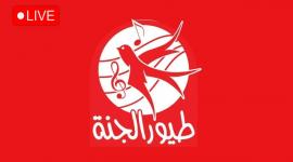 تردد قناة طيور الجنة 2026 الجديد على نايل سات وعرب سات