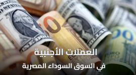 تقلبات العملات الأجنبية في السوق السوداء المصرية 29/12/2025
