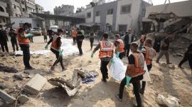 الأدلة الجنائية بغزة: التعرف على 100 جثمان من شهداء الحرب