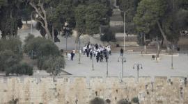 محافظة القدس تحذّر من تصعيد الاحتلال والمستوطنين الخطير ضد 33 تجمعًا بدويًا