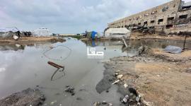 منخفض جوي في غزة