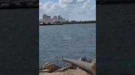 أمطار غزيرة ورياح شديدة بمدينة غزة في ظل معاناة النازحين بالخيام