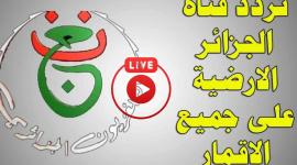 القناة الجزائرية الأرضية.. تردد مجاني لمواجهة مصر وأنغولا