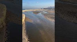 تدمير الاحتلال للبنية التحتية يحول شاطئ غزة إلى مصب لمجاري الصرف الصحي