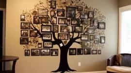 اكتشف أصولك وشجرة عائلتك بسهولة عبر الإنترنت