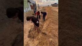 قبل وصول المنخفض.. نازحون على شاطئ غزة يحفرون مجرى لمياه الأمطار لحماية خيامهم من الغرق