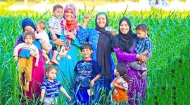 كيف تتحقق من اسمك في 'تكافل وكرامة' 2025؟