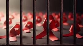 الأشرطة الحمراء