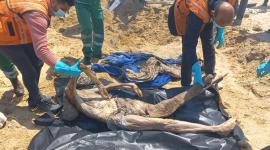 بصل: 8 آلاف جثمان تحت الأنقاض و3 آلاف مفقود بغزة