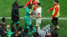 المغرب يقدم استئنافًا ضد "كاف" بعد نهائي أمم أفريقيا