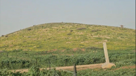 الأغوار الشمالية