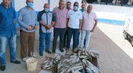 مباحث التموين في خانيونس تضبط (715) كلغم من السمك المجمّد الفاسد