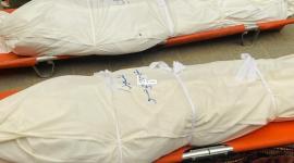 الصحة: 8 شهداء و17 إصابة وصلوا مستشفيات غزة خلال 24 ساعة