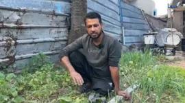 المزارع محمد نصير لم تمنعه الإصابة جراء الحرب الإسرائيلية على غزة من مواصلة عمله في الزراعة