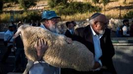 "حماس": إدخال قرابين إلى الأقصى تصعيد خطير ومحاولات لفرض واقع تهويدي جديد