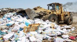 مباحث تموين خانيونس تُتلف 20 طنًا من الدجاج المجمد الفاسد