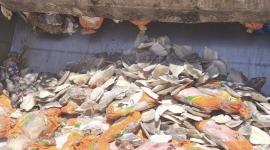 بلدية خانيونس تتلف 1,460 كيلوغرامًا من الأغذية الفاسدة