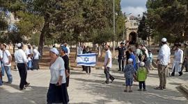 "لجان المقاومة": اقتحامات الأقصى ورفع الأعلام الإسرائيلية تصعيد خطير