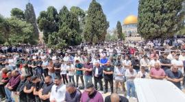 75 ألفًا يؤدون صلاة الجمعة في الأقصى