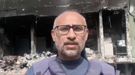 محمد عرب