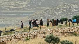 بحماية الاحتلال.. مستوطنون يقتحمون محيط منازل المواطنين شرق رام الله