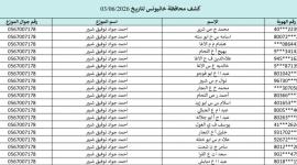 كشوفات الغاز الجنوب والوسطى