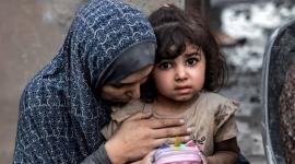 التنمية بغزة: أكثر من 65 ألف يتيم و28 ألف أرملة منذ بدء الحرب