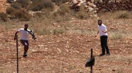 أرشيفية