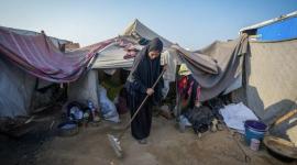 بين الحر والآفات.. مخيمات النزوح في غزة تواجه مخاطر صحية متفاقمة