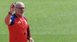 المدير الفني المنتخب الإسباني الأول لويس دي لا فوينتي