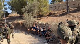 الاحتلال يحتجز مزارعين أثناء قطفهم ثمار الزيتون جنوب طولكرم
