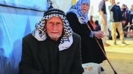 الإحصاء: 347 ألف مسن في فلسطين و76% منهم يعانون أمراضًا مزمنة