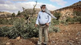 "حماس": اعتداءات المستوطنين في الضفة تستهدف الوجود الفلسطيني وتستدعي عقوبات دولية رادعة