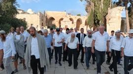 محافظة القدس: 11,409 مستوطنين اقتحموا الأقصى خلال موسم الأعياد العبرية