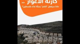 "كارثة الأغوار".. ماذا سيفعل "الضم" بسلّة غذاء فلسطين؟