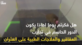 لماذا تجري تجارب الأدوية على الفئران؟