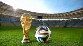 كأس العالم 2014