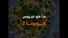 ما هو فيروس كورونا 2