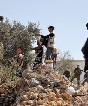 الاحتلال يمنع المزارعين من قطف ثمار الزيتون جنوب نابلس