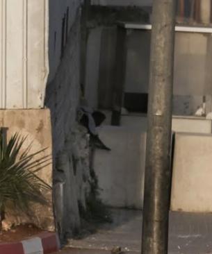 "حزب الله" يبارك عملية الخليل ويدين مشاريع الاستيطان والتهجير في الضفة والقدس