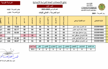 نتائج السادس الإبتدائي 2023 صلاح الدين - واسط - الرصافة الثانية