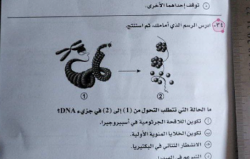 تسريب امتحان الأحياء للصف الثالث الثانوي 2023 مصر