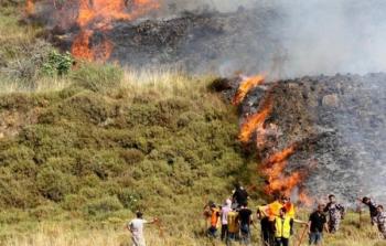 مستوطنون يضرمون النيران في أراض زراعية جنوب نابلس