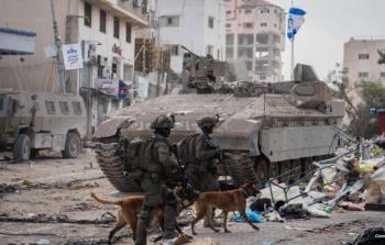 الأورومتوسطي: استخدام الاحتلال الكلاب البوليسية في الاعتداء على المدنيين بغزة ممنهج وواسع النطاق
