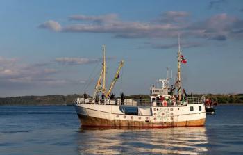 تحالف أسطول الحرية يطالب بتحرك فوري لتعرض سفينة تحمل مساعدات لغزة  لهجوم قبالة سواحل مالطا