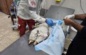 الصليب الأحمر: الأزمة الإنسانية في غزة كارثية ووقف إطلاق النار ضرورة عاجلة