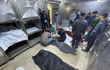 الصحة: 32 شهيدًا و119 مصابًا وصلوا مشافي غزة خلال 24 ساعة