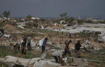 مركز يحذر من كارثة زراعية غير مسبوقة في قطاع غزة